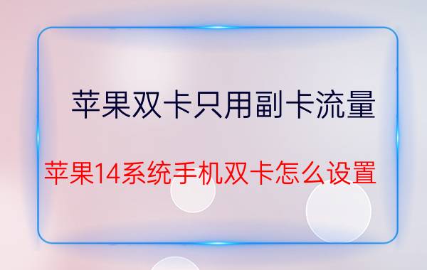 苹果双卡只用副卡流量 苹果14系统手机双卡怎么设置？